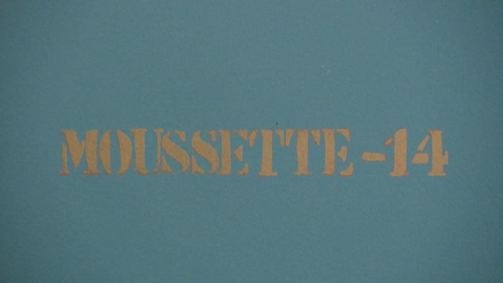 Appartement La Moussette *